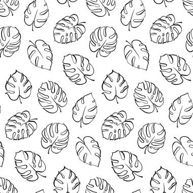 Monstera yaprak vektör botanik çizim