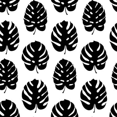 Monstera yaprak vektör botanik çizim