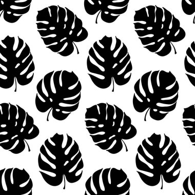 Monstera yaprak vektör botanik çizim