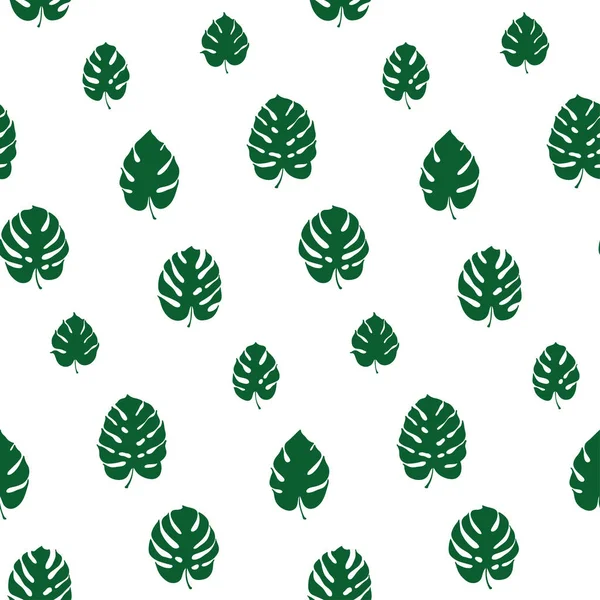 Monstera yaprak vektör botanik çizim