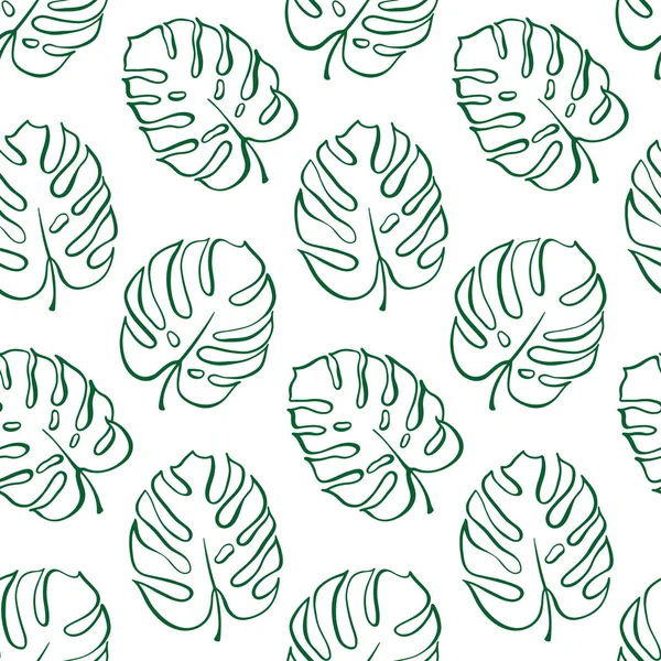 Monstera yaprak vektör botanik çizim