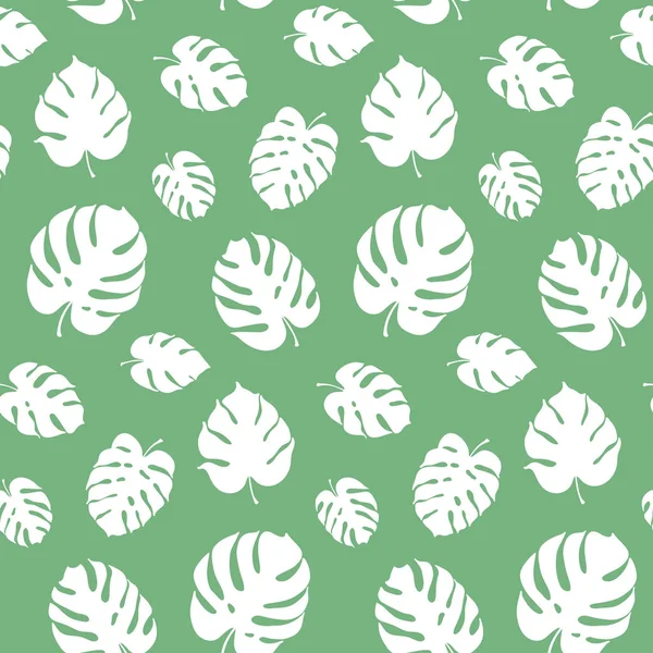 Monstera yaprak vektör botanik çizim