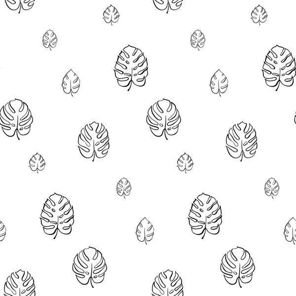 Monstera yaprak vektör botanik çizim