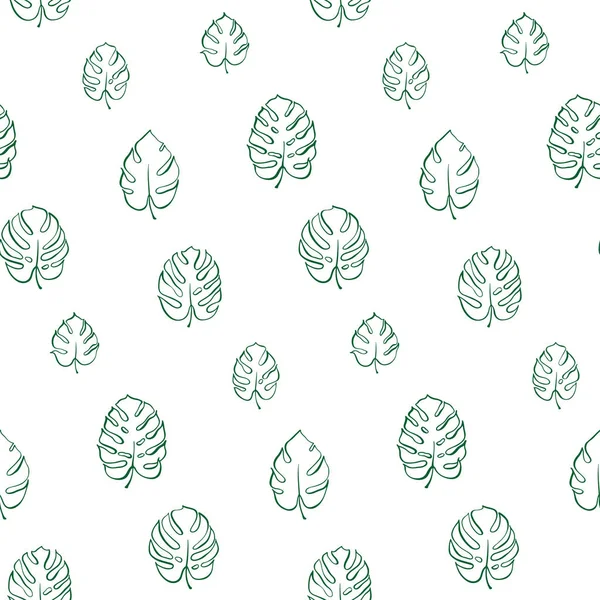 Monstera yaprak vektör botanik çizim