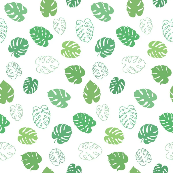 Monstera yaprak vektör botanik çizim