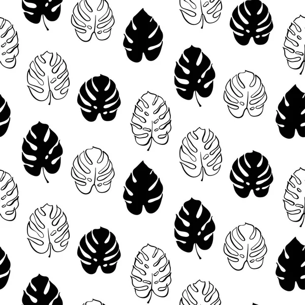 Monstera yaprak vektör botanik çizim