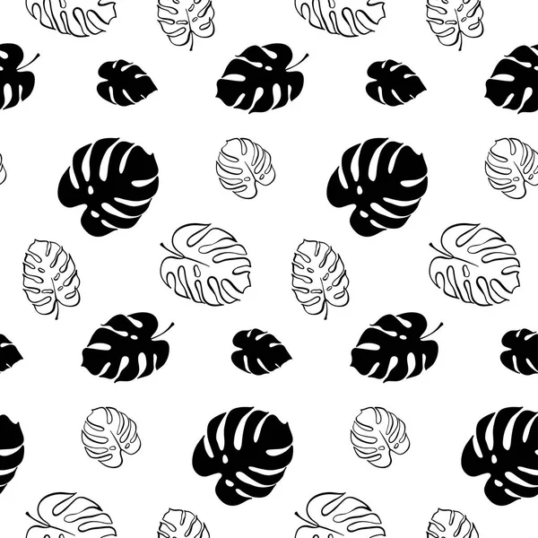 Monstera yaprak vektör botanik çizim