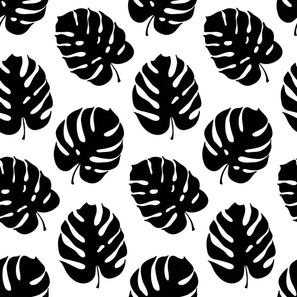 Monstera yaprak vektör botanik çizim