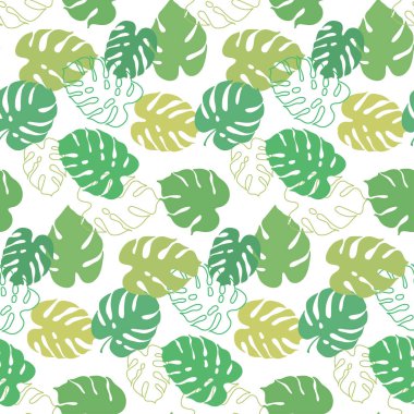 Monstera yaprak vektör botanik çizim