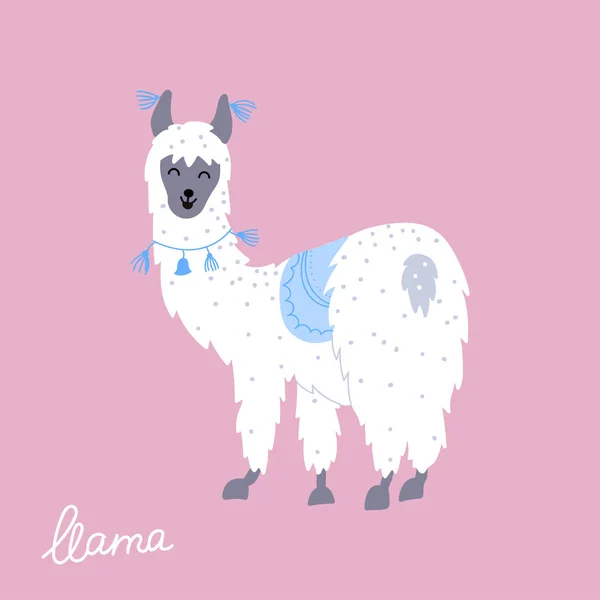 Vektorillustration des Lamas — Stockvektor