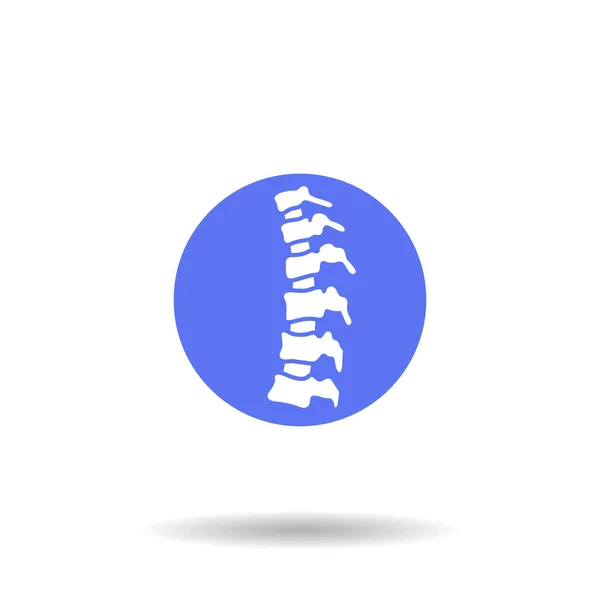 Ilustração da coluna vertebral humana vetorial — Vetor de Stock