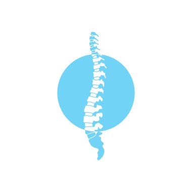 Vektör insan omurga çizim