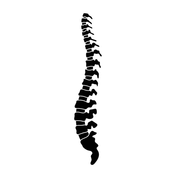 Illustrazione della colonna vertebrale umana vettoriale — Vettoriale Stock