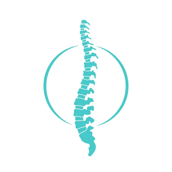 Vector human spine  illustration — Stock Vector