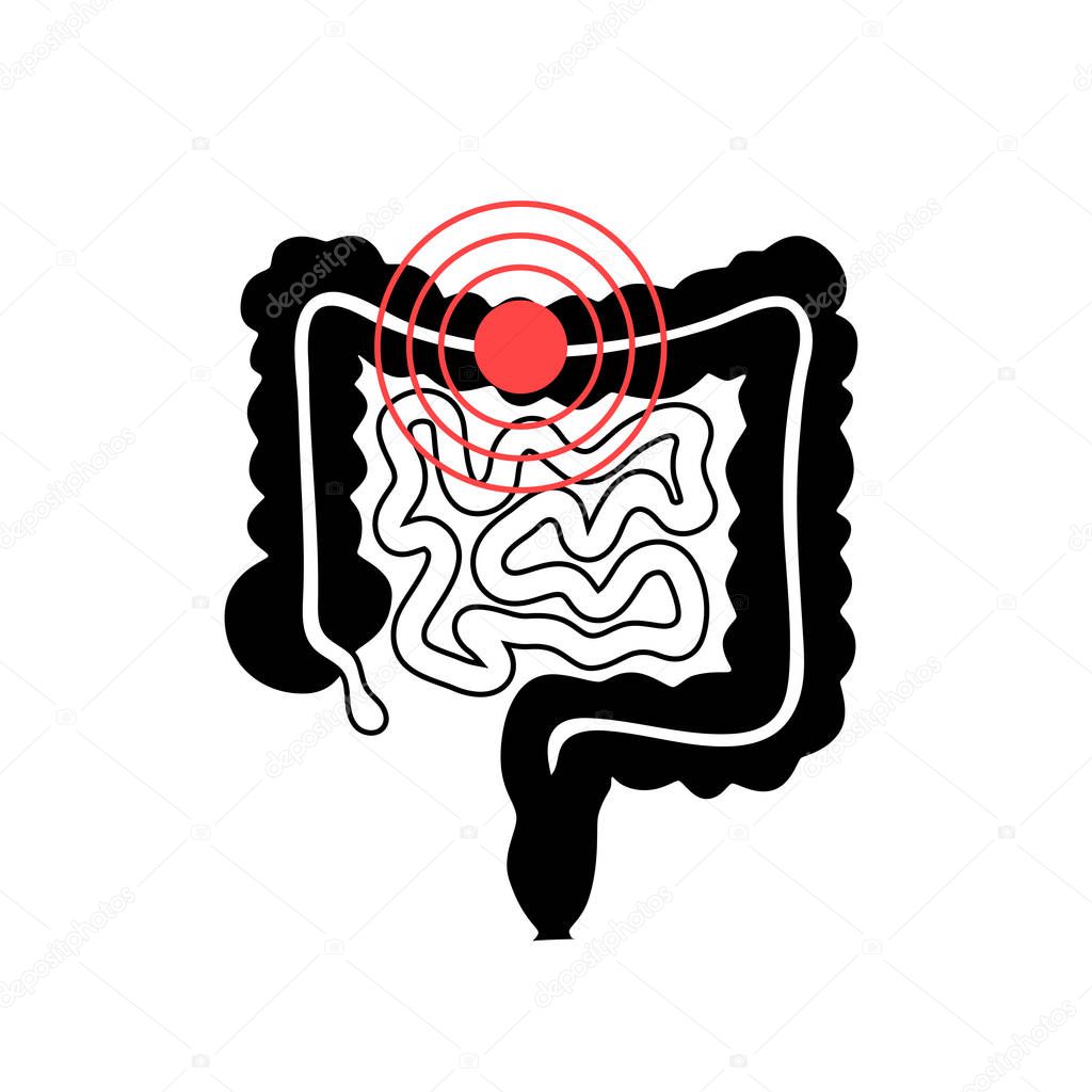 Vector isolated illustration of intestine