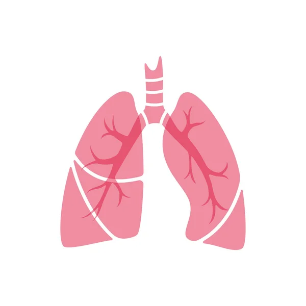 Ilustração vetorial isolada do pulmão — Vetor de Stock