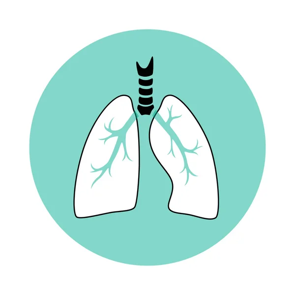 Vektor isolierte Darstellung der Lunge — Stockvektor