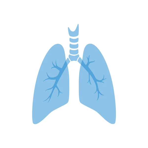 Illustrazione isolata vettoriale del polmone — Vettoriale Stock