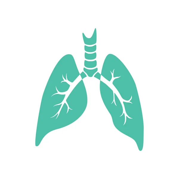 Vektor isolierte Darstellung der Lunge — Stockvektor