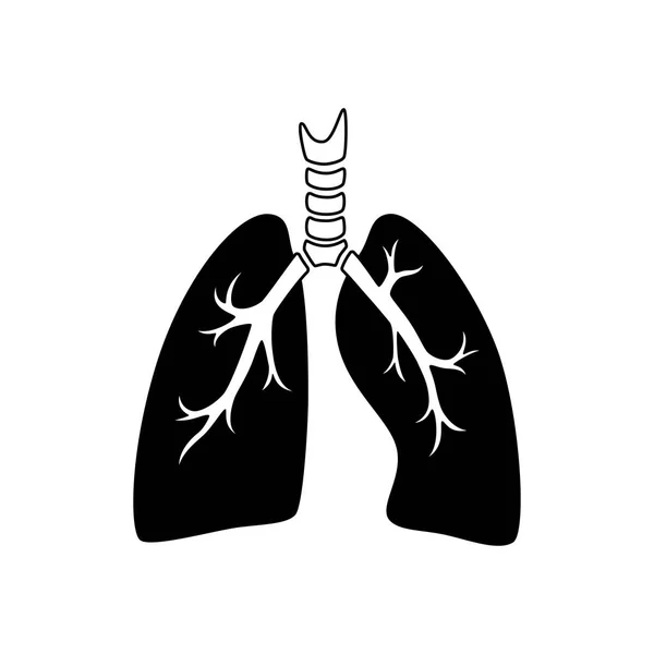 Vektor isolierte Darstellung der Lunge — Stockvektor