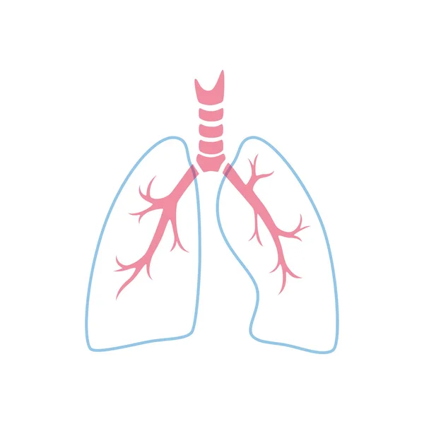 Ilustração vetorial isolada do pulmão —  Vetores de Stock