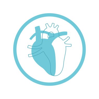 Kalbin izole edilmiş vektör illüstrasyonu