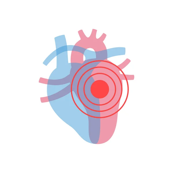 心臓のベクトル分離図 — ストックベクタ