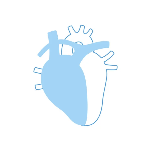Kalbin izole edilmiş vektör illüstrasyonu — Stok Vektör