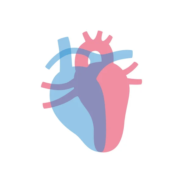 Illustration vectorielle isolée du cœur — Image vectorielle