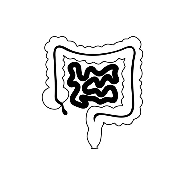 Ilustração isolada do vetor do intestino — Vetor de Stock