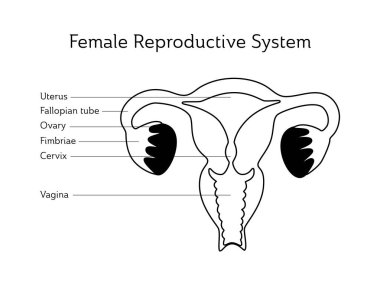 Rahmin izole edilmiş vektör çizimi