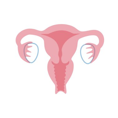 Rahmin izole edilmiş vektör çizimi