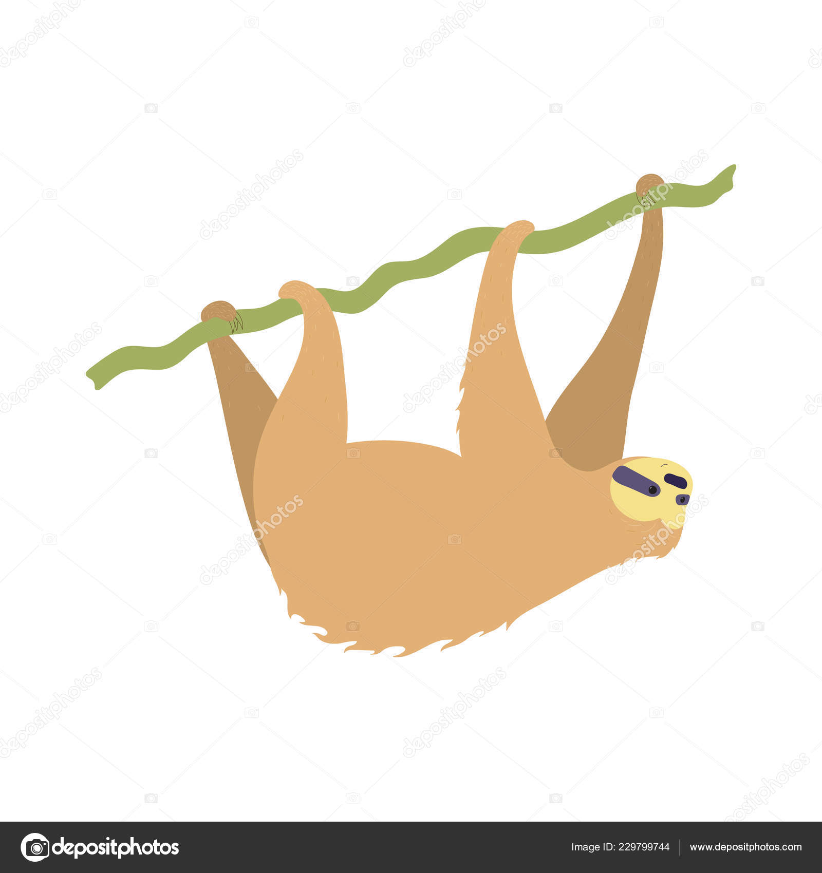 アニメ画像について 最高ナマケモノ イラスト