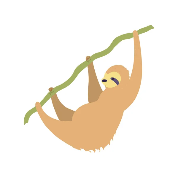 Векторная иллюстрация симпатичного ленивца — стоковый вектор