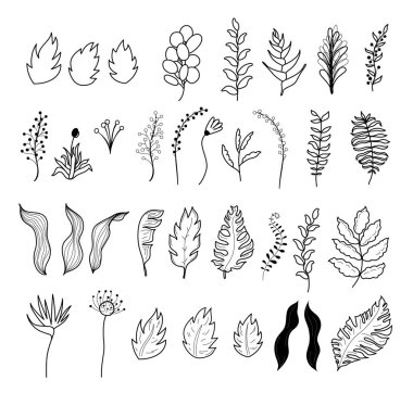 Vektör tropik çiçekler ve yapraklar