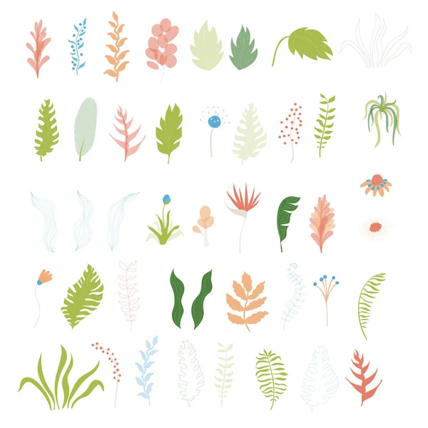 Vector tropical flowers and leaves — Stock Vector