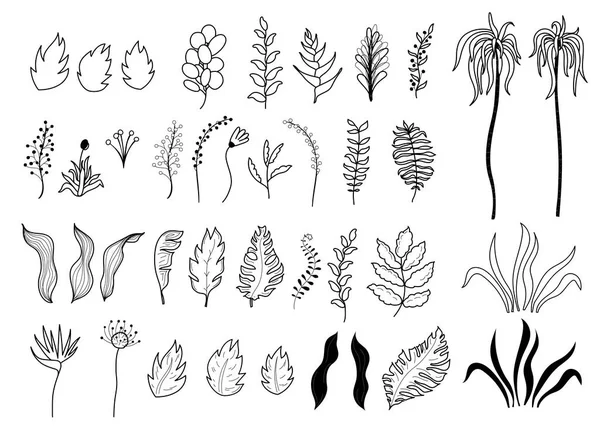 Vector de flores y hojas tropicales — Archivo Imágenes Vectoriales