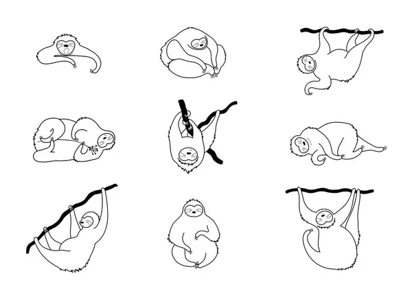 Illustration vectorielle de mignon personnage paresseux — Image vectorielle
