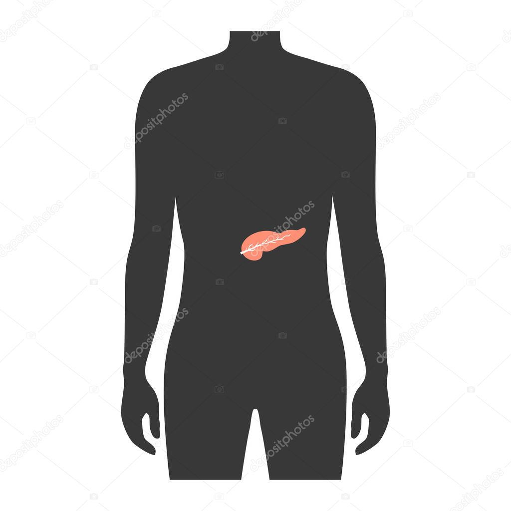 Vector isolated illustration of pancreas anatomy. Human digestive system icon. Healthcare medical center, surgery, hospital, clinic, diagnostic logo. Internal organ symbol poster design. Donation