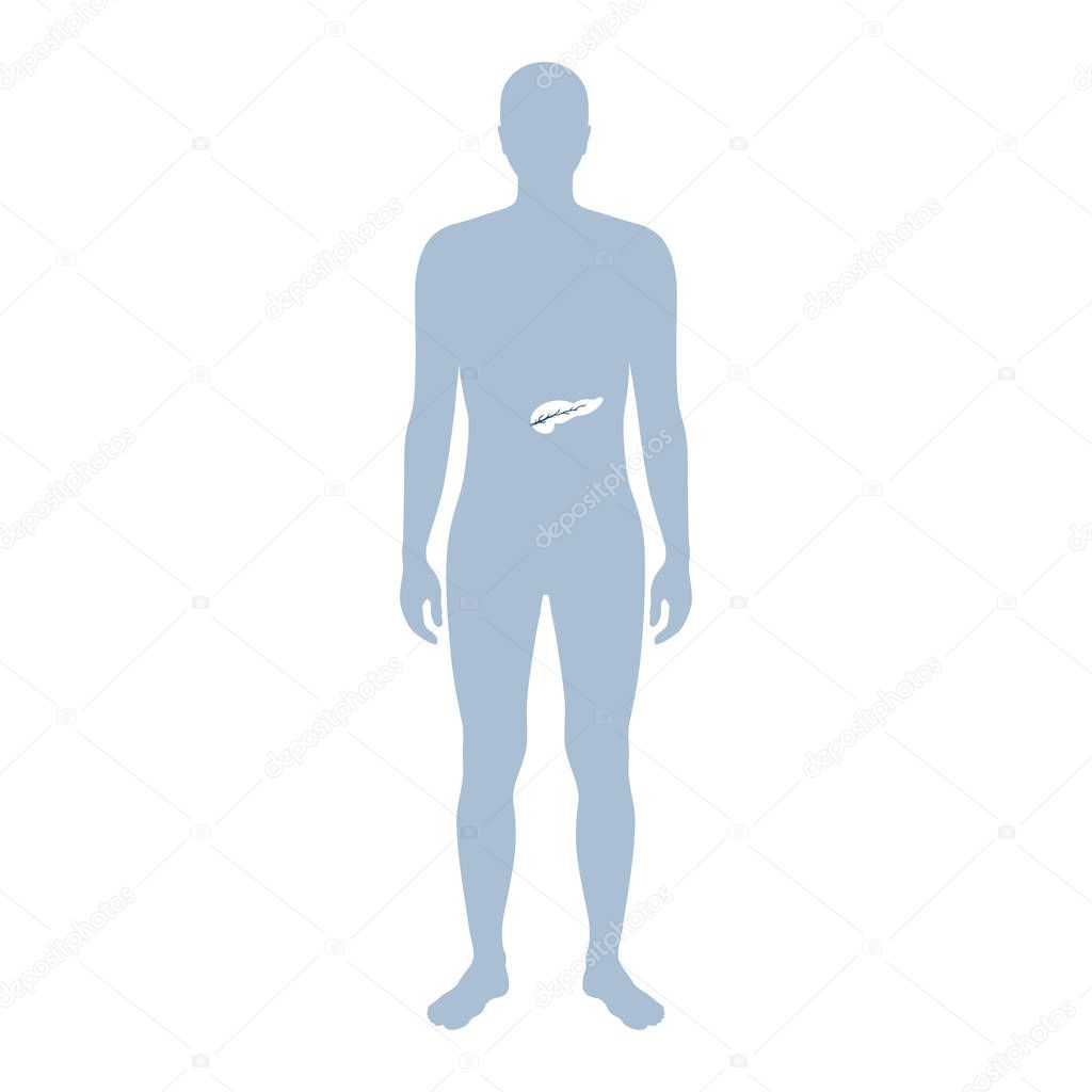 Vector isolated illustration of pancreas anatomy. Human digestive system icon. Healthcare medical center, surgery, hospital, clinic, diagnostic logo. Internal organ symbol poster design. Donation