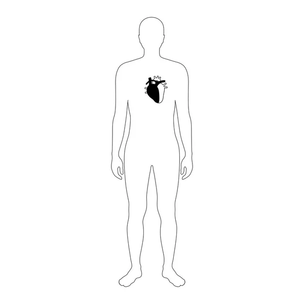 Vektorové izolované ilustrace srdce — Stockový vektor