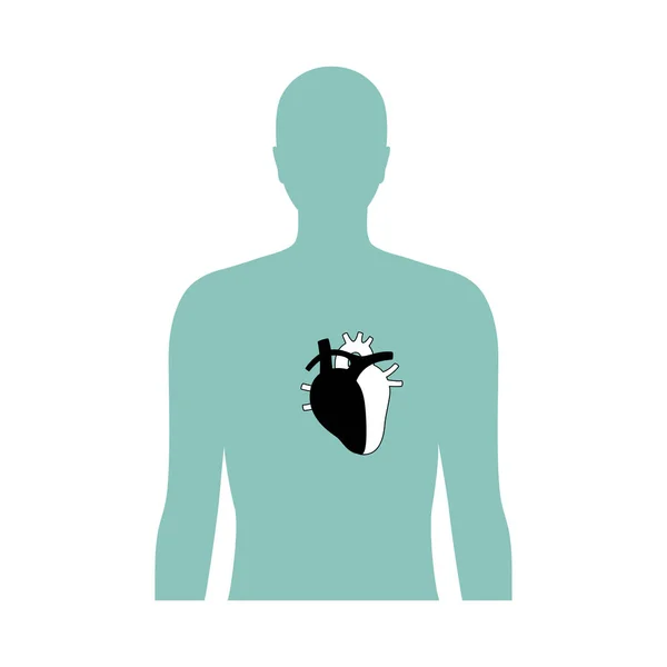 Kalbin izole edilmiş vektör illüstrasyonu — Stok Vektör