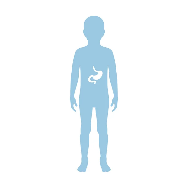 Illustration vectorielle de l'estomac — Image vectorielle