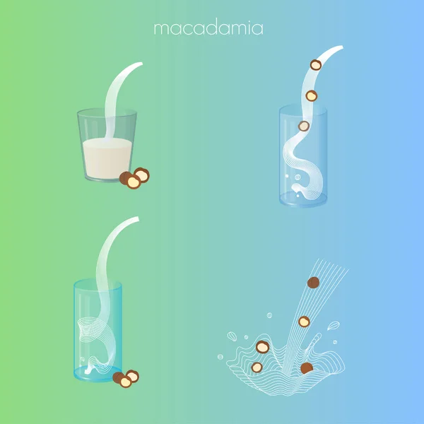 Vectorglas van macadamia melk met noten — Stockvector