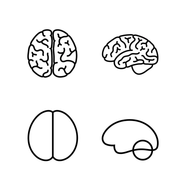 Ilustración vectorial de la anatomía cerebral humana — Vector de stock