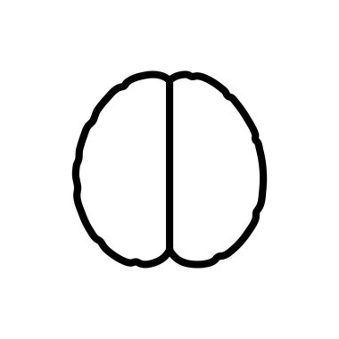 Vektör çizim insan beyin anatomisi 