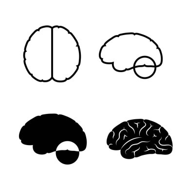 Vektör çizim insan beyin anatomisi 