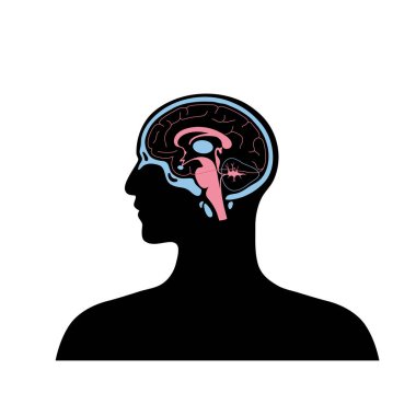 vector illustration of brain  clipart