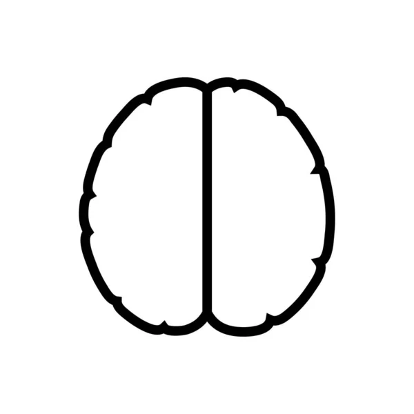 Illustration vectorielle de l'anatomie cérébrale humaine — Image vectorielle