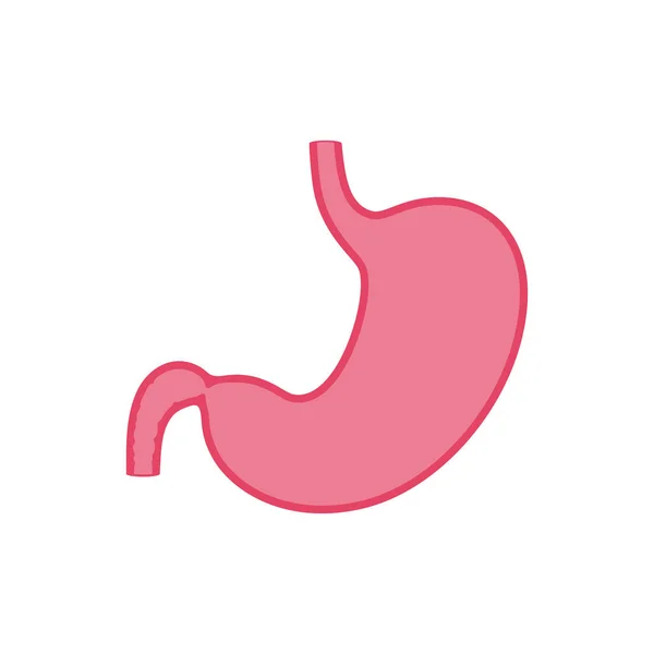 Illustration vectorielle isolée de l'estomac — Image vectorielle